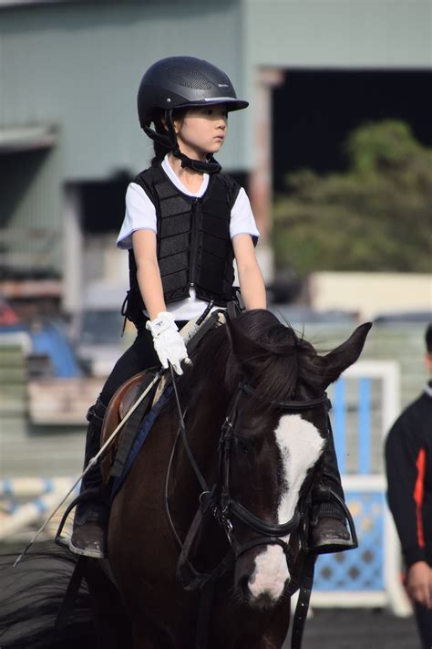 馬的顏色|中華民國馬術協會Chinese Taipei Equestrian Association